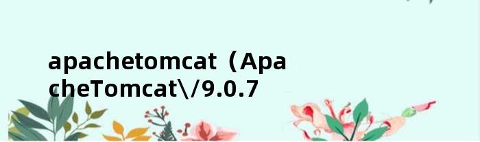 apachetomcat（ApacheTomcat\/9.0.72）