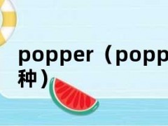popper（popper什么舞种）