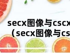 secx图像与cscx图像与性质（secx图像与cscx图像与性质）