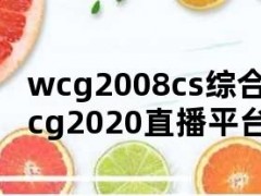 wcg2008cs综合直播页（wcg2020直播平台）