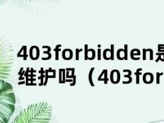 403forbidden是网站在维护吗（403forbidden怎么办）