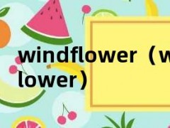 windflower（windflower）